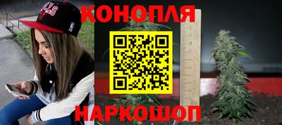 спиды Моздок