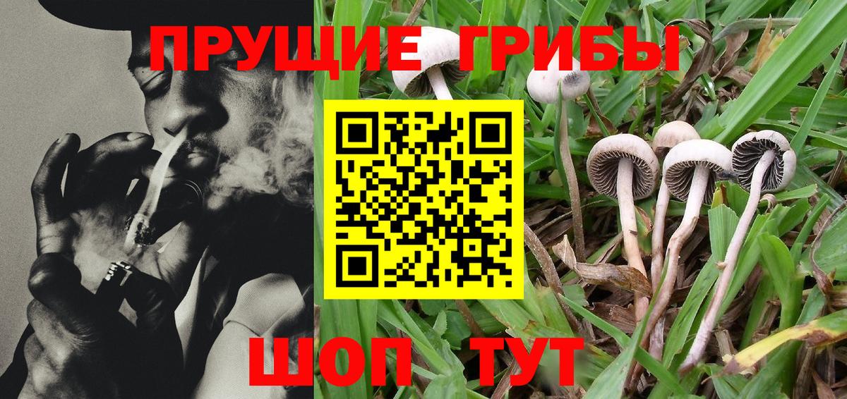 Галлюциногенные грибы мухоморы Евпатория
