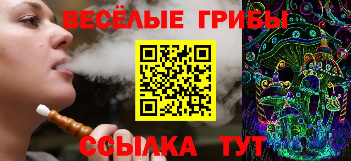 Евпатория  Псилоцибиновые грибы Psilocybe  Вход с VPN 